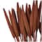 Dried Plant Bunny Tail Natural Foliage with Long Stems